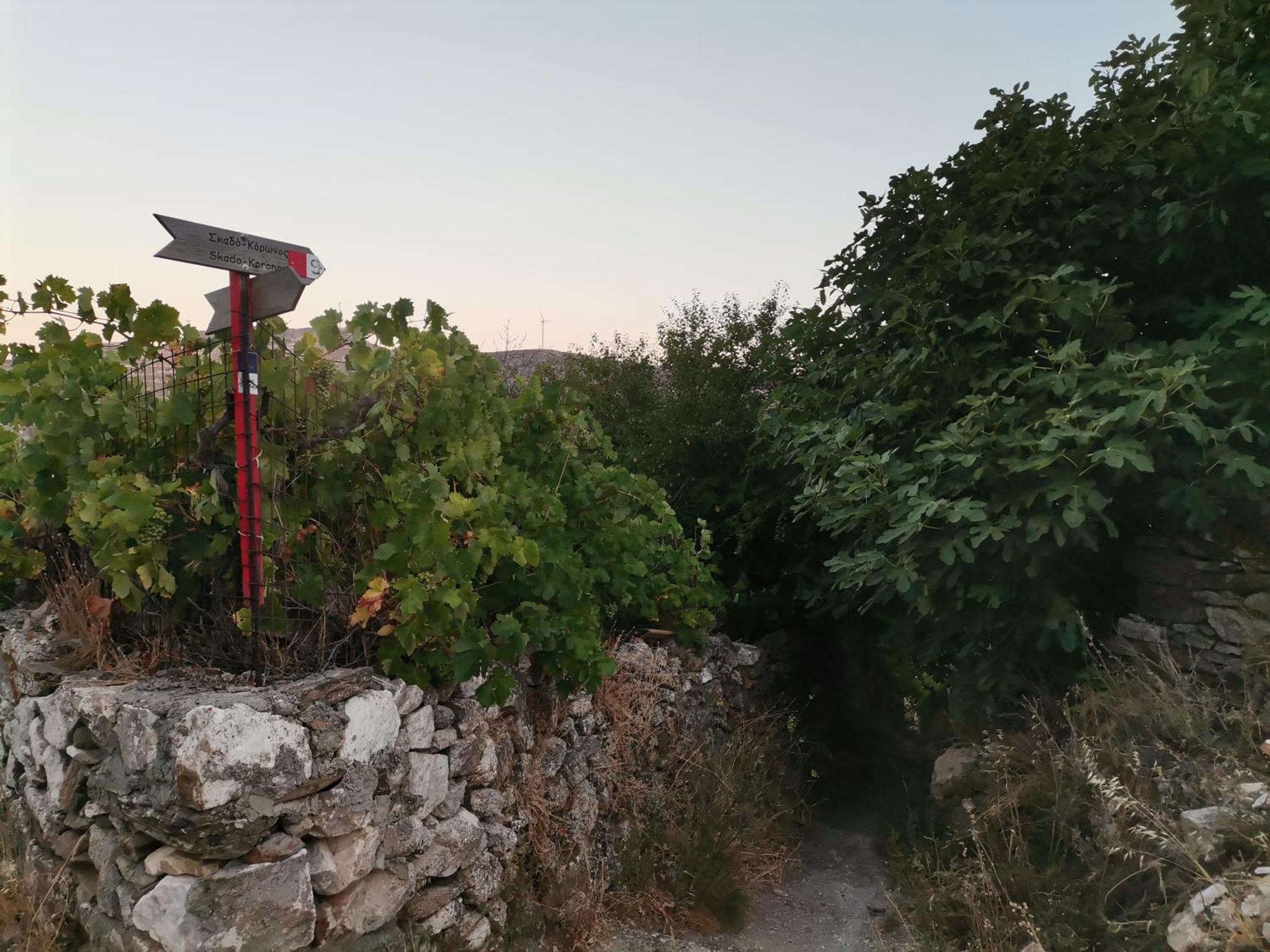 Naxos Mountain Retreat - Tiny House Build On Rock Apartment Koronos Exterior photo